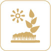 OUTDOOR ACTIVITY ZONE